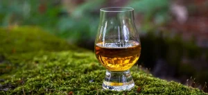 Peat Facts Whisky